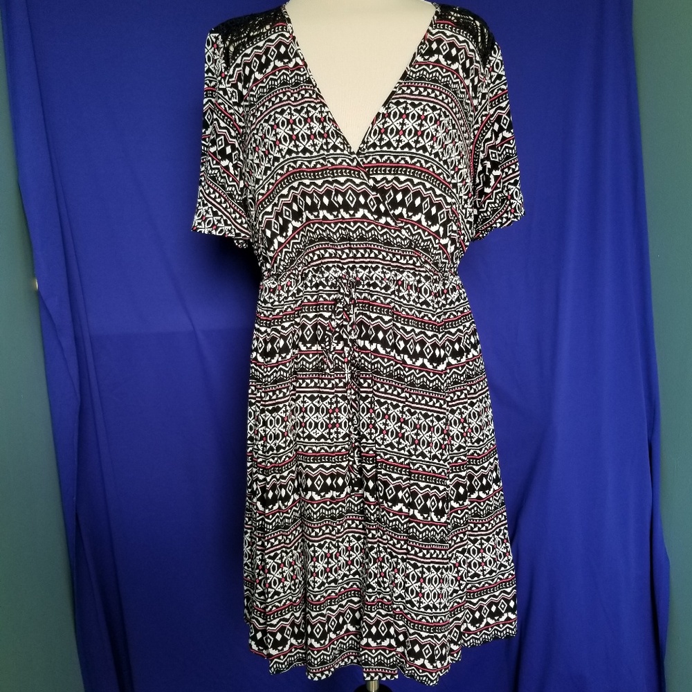 Torrid skater dress
